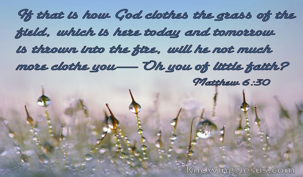 Matthew 6:30 If God So Clothe The Grass Will He Not Much More Clothe You Ye Of Little Faith (blue)